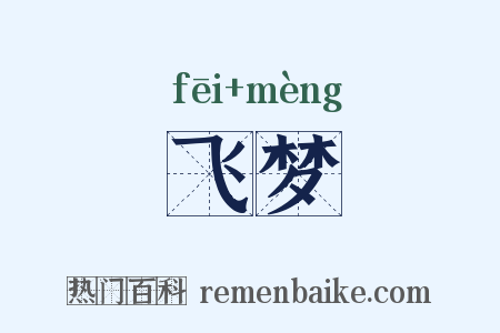 飞梦是什么意思的图片